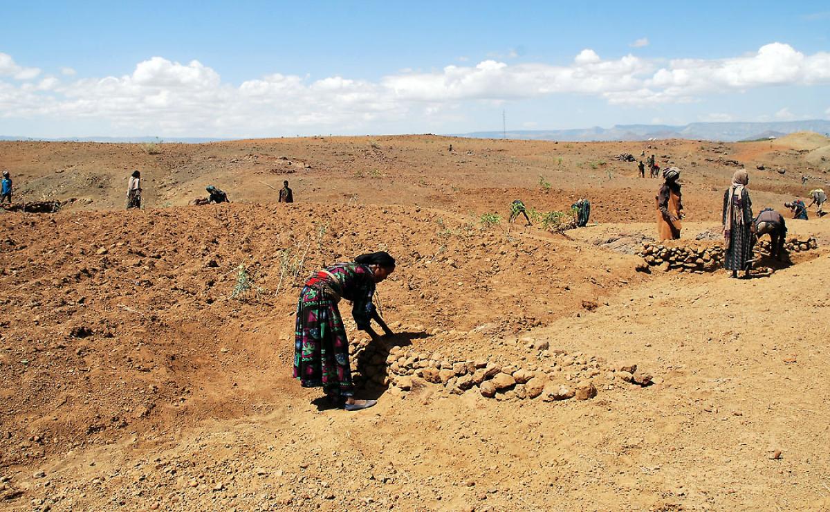essay about drought in ethiopia